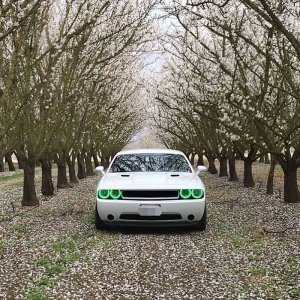 Dodge Challenger Headlight Halo Kit - ORACLE Lighting - LED Projector - Green - `08-`14